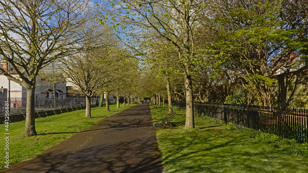 Lane through a city park with bare oak trees, lawn and benches in Dublin