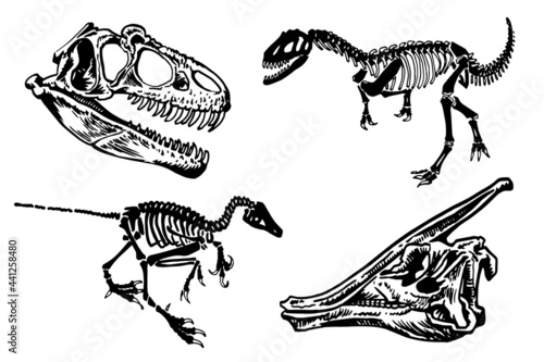 Graphical paleontological collection, hand-drawn dinosaurs isolated on white background