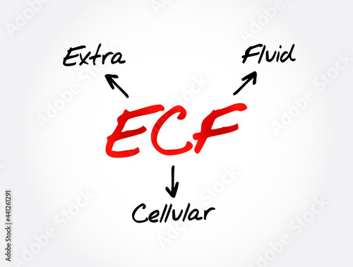 ECF - Extracellular fluid acronym, medical concept background