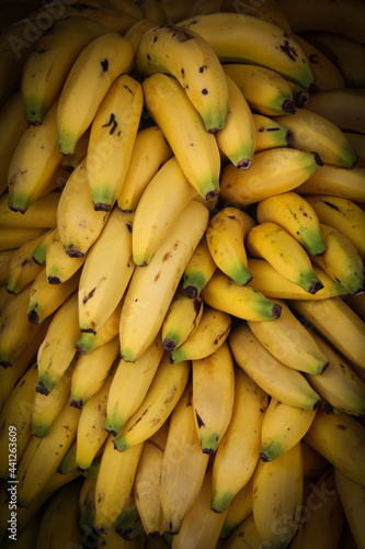 Bananas at the market in Puerto Vallarta, Mexico