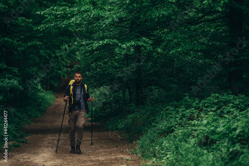 Hiker man walking in the forest while using trekking poles and enjoying nature