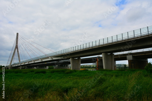 Elberadweg bei Dresden 