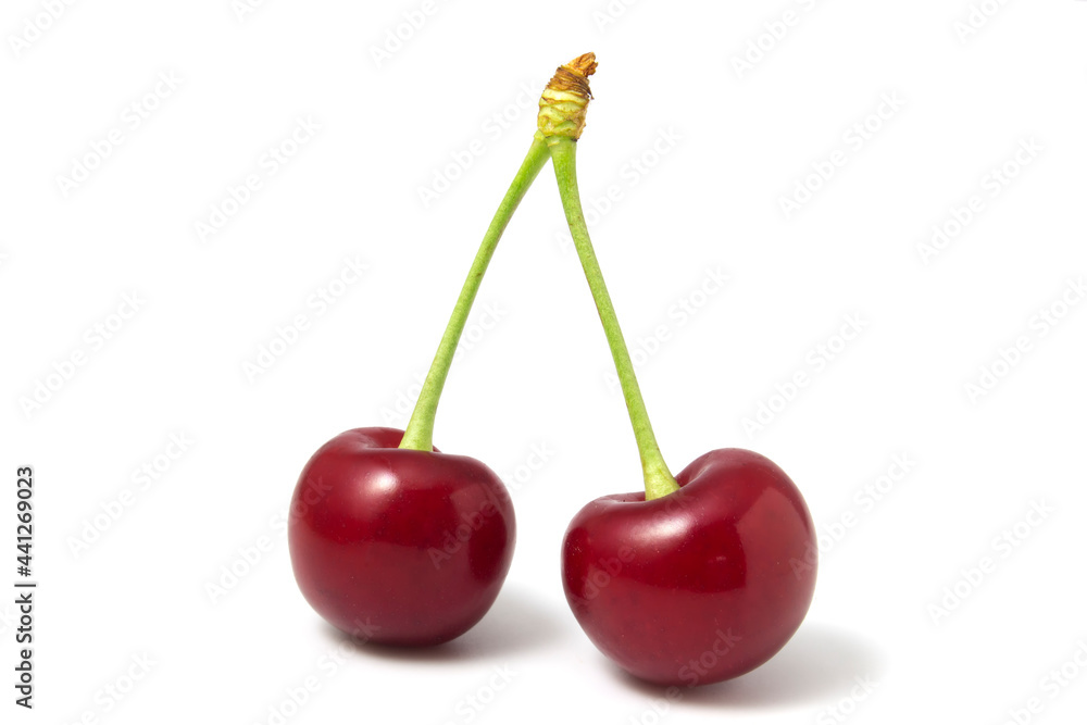 Two isolated red cherries on a white background. Two isolated red cherries on a white background.