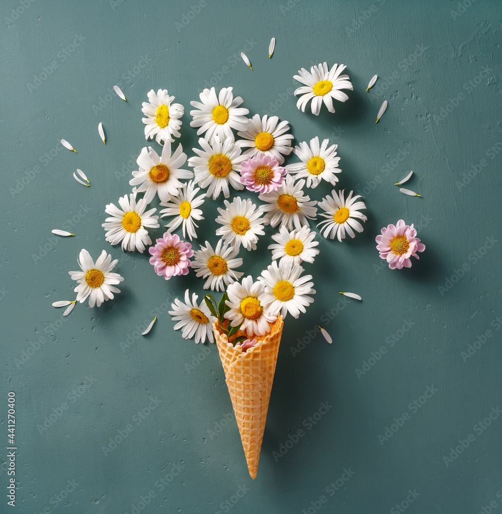 Herbal Botany Wall Art. Botanical set. Lifestyle decoration. Ice cream cone with pink flowers, chamomile flowers on blue background. Flat lay. Top view.