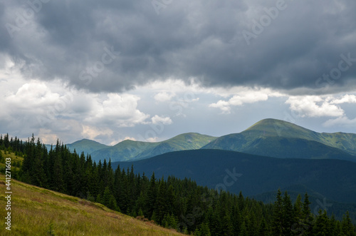 Beautiful view of the picturesque Chornohora ridge, spruce forest, grassy valley from meadow of Kukul under cloudy sky. Wild nature and mountains of the Carpathians, Ukraine