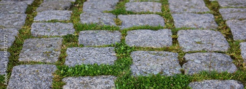 stone pavement with grass