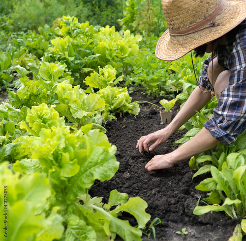 A young girl in a straw hat is engaged in gardening work, processes black soil before planting seedlings, plant seeds. A woman cultivates plants, farms on a sunny day.