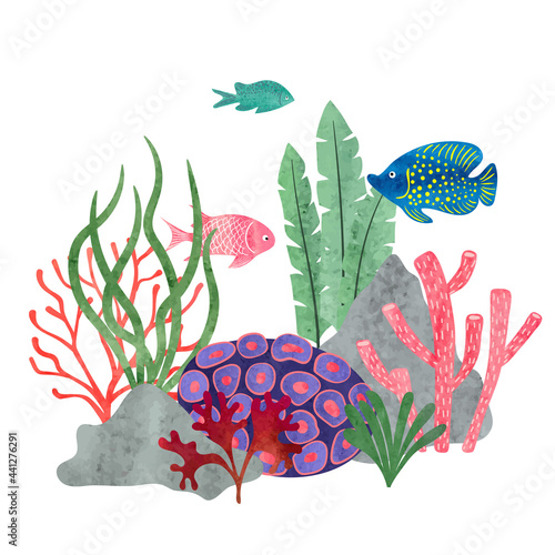 Colorful watercolor coral r...
