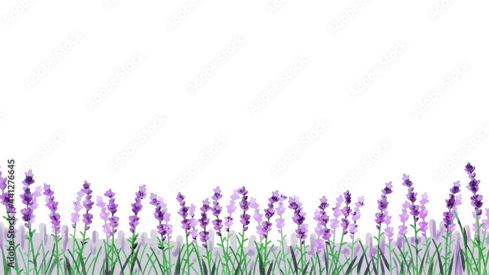 Naklejka premium ラベンダー畑 水彩風