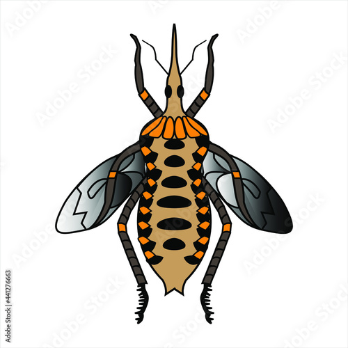 Animal insecto  el chipo  nombre cientifico Rhodnius prolixus insecto transmisor del mal de chagas vector ilustracion
