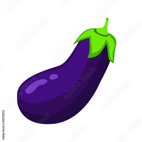 Fresh eggplant isolated on white background. Brinjal vector illustration transparent png.