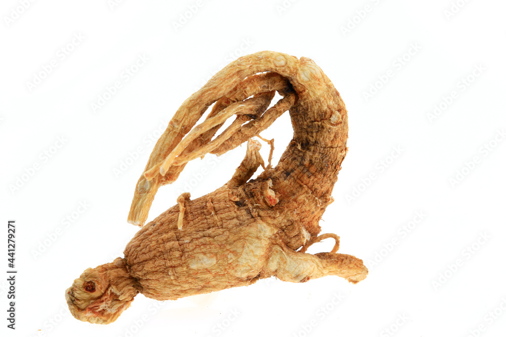 Ginseng on a white background Ginseng on a white background