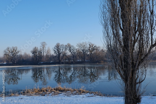 landscape of a river with trees and ice in a winter