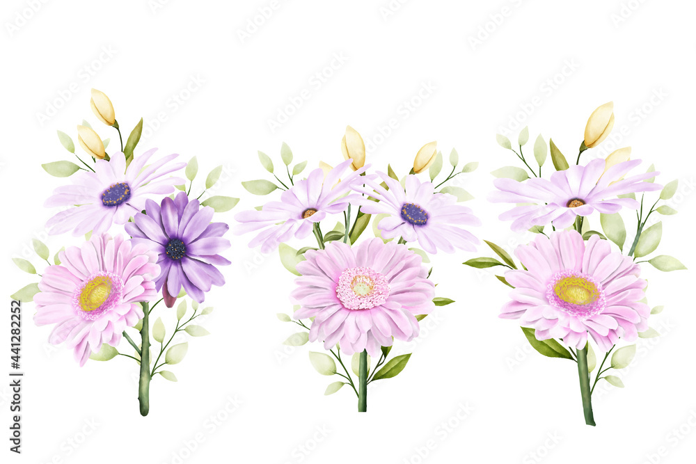beautiful bouquets flowers illustration