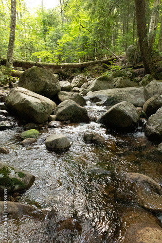 Stream flowing through Snowy Mountain Trail 