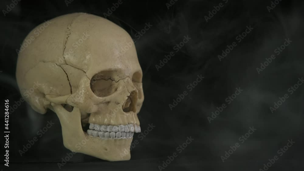 Skull in black room. A human skalp in the grey smoke in the black background. Skull in black room. A human skalp in the grey smoke in the black background.