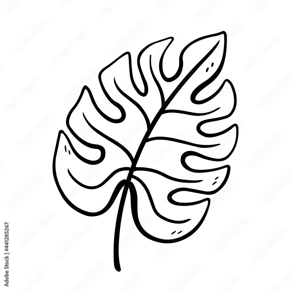 Monstera leaf isolated on white background. Vector hand-drawn illustration in doodle style. Perfect for your project, card, logo, decorations. Monstera leaf isolated on white background. Vector hand-drawn illustration in doodle style. Perfect for your project, card, logo, decorations.