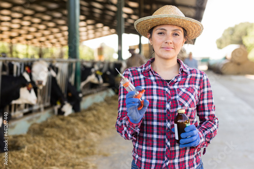 Positive latino veterinarian woman holding bottle with cure and preparing to give a shot to ill calf