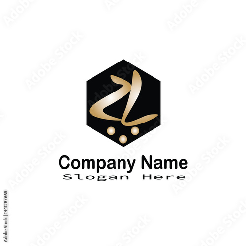 Letter zl logo on white background