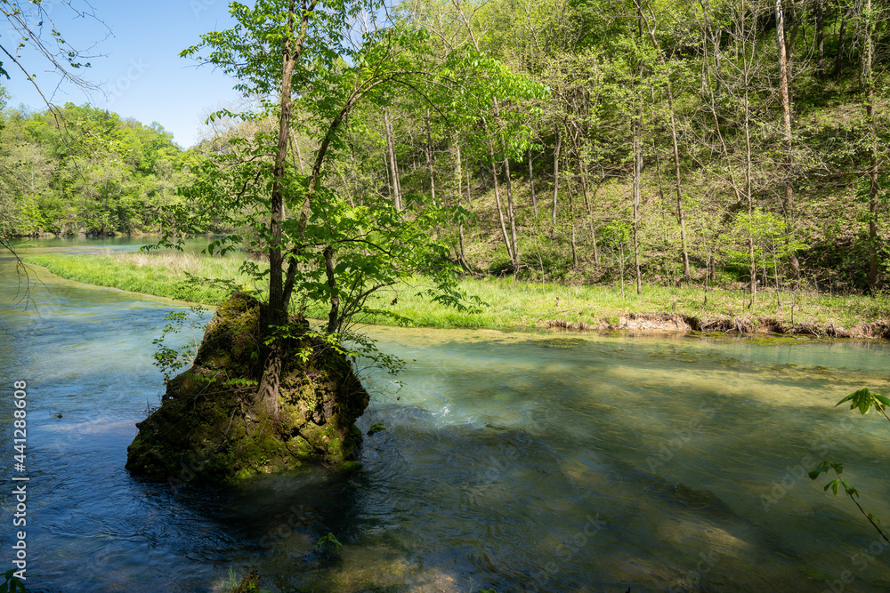 Fototapeta premium Beautiful clear spring blue water in Ha Ha Tonka State Park - Lake of the Ozarks, Missouri