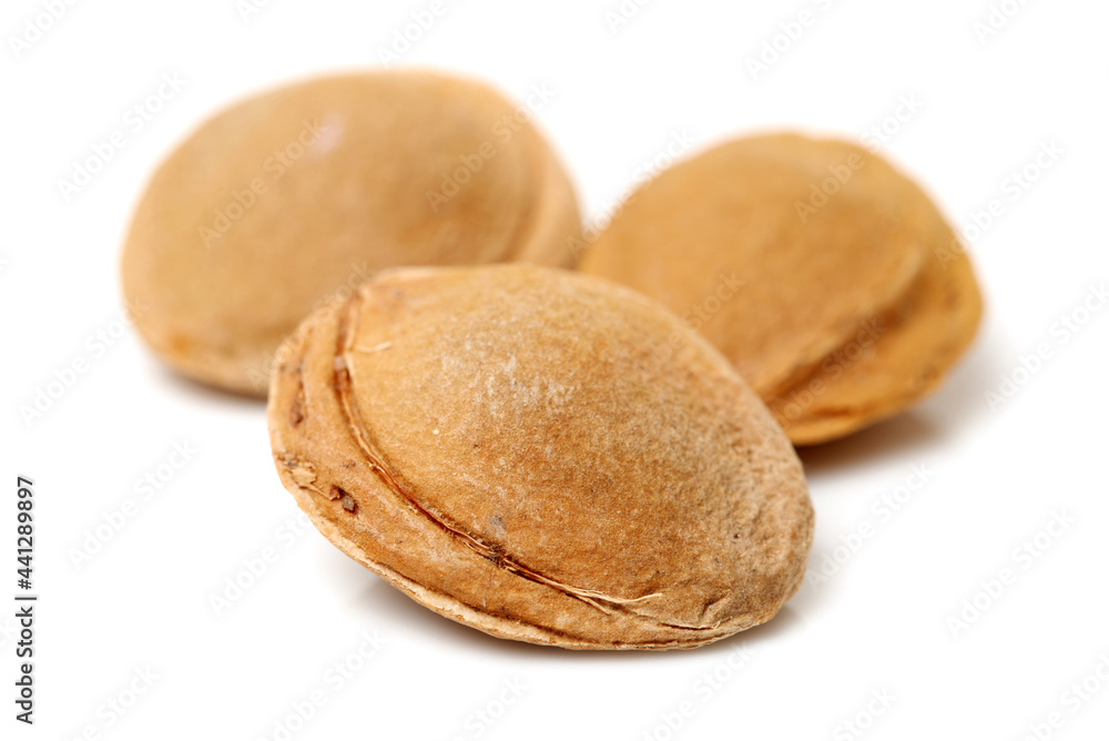 apricot kernel isolated on white background apricot kernel isolated on white background