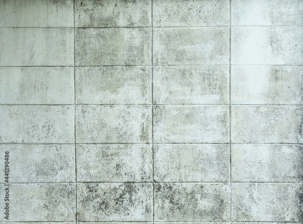 Fototapeta premium The brick floor and wall,background textures