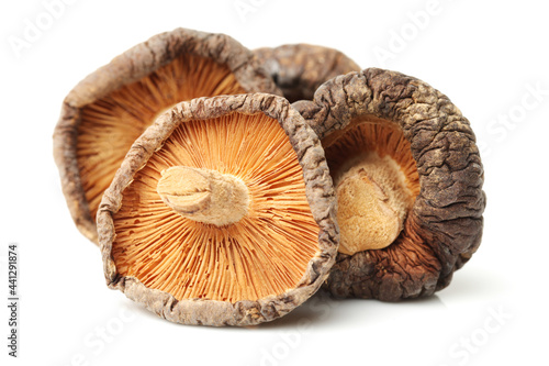 Dry Mushrooms isolated on white background. Selective focus