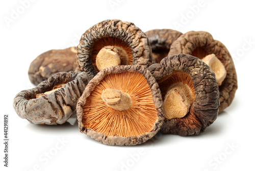 Dry Mushrooms isolated on white background. Selective focus
