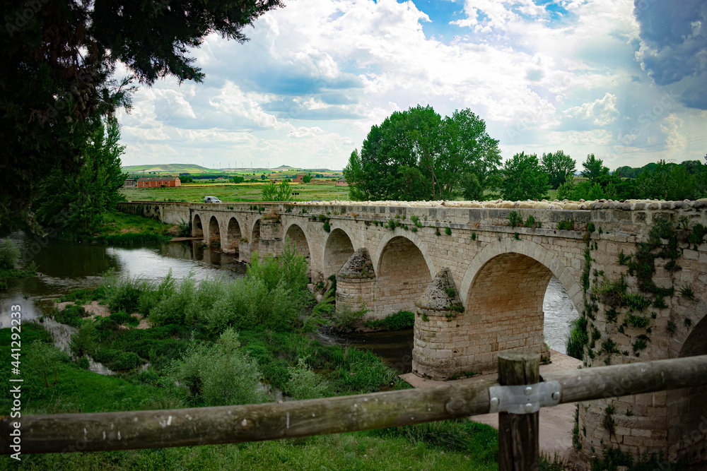 Fototapeta premium Ovejas cruzando el Puente de Palenzuela