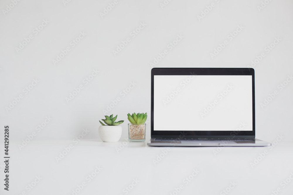 Blank screen laptop and two succulent isolated on white background with copy space Blank screen laptop and two succulent isolated on white background with copy space