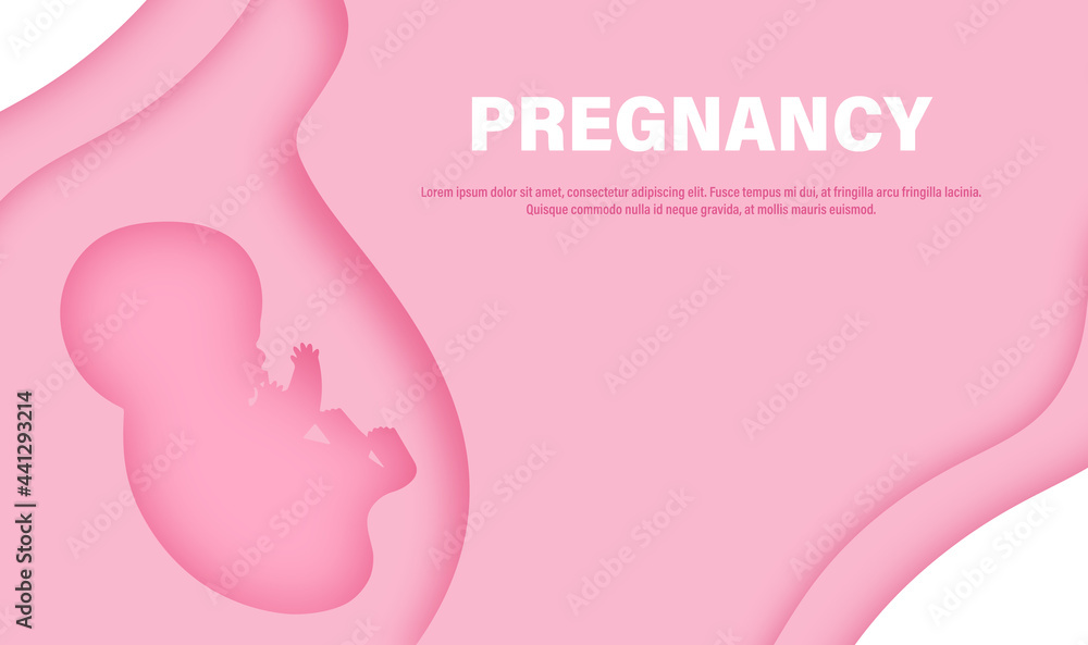 Banner, poster, illustration with embryo, baby in the belly in cut paper style with text Pregnancy and place for your text. 