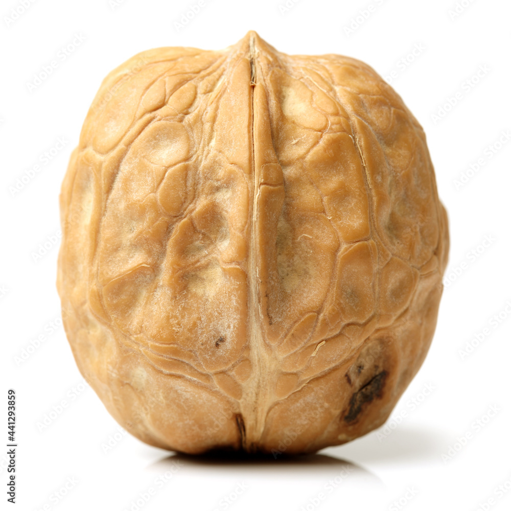 Obraz premium walnut isolated on white background