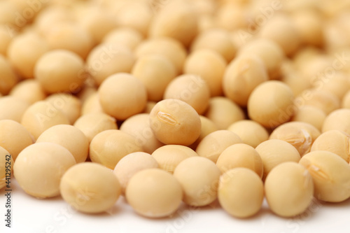 gold soybean isolated on white background 