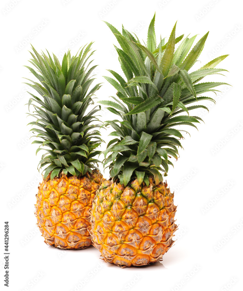 pineapple on white background pineapple on white background