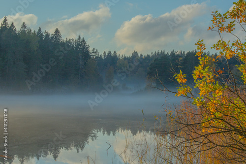 a lake in the forest shrouded in a misty haze