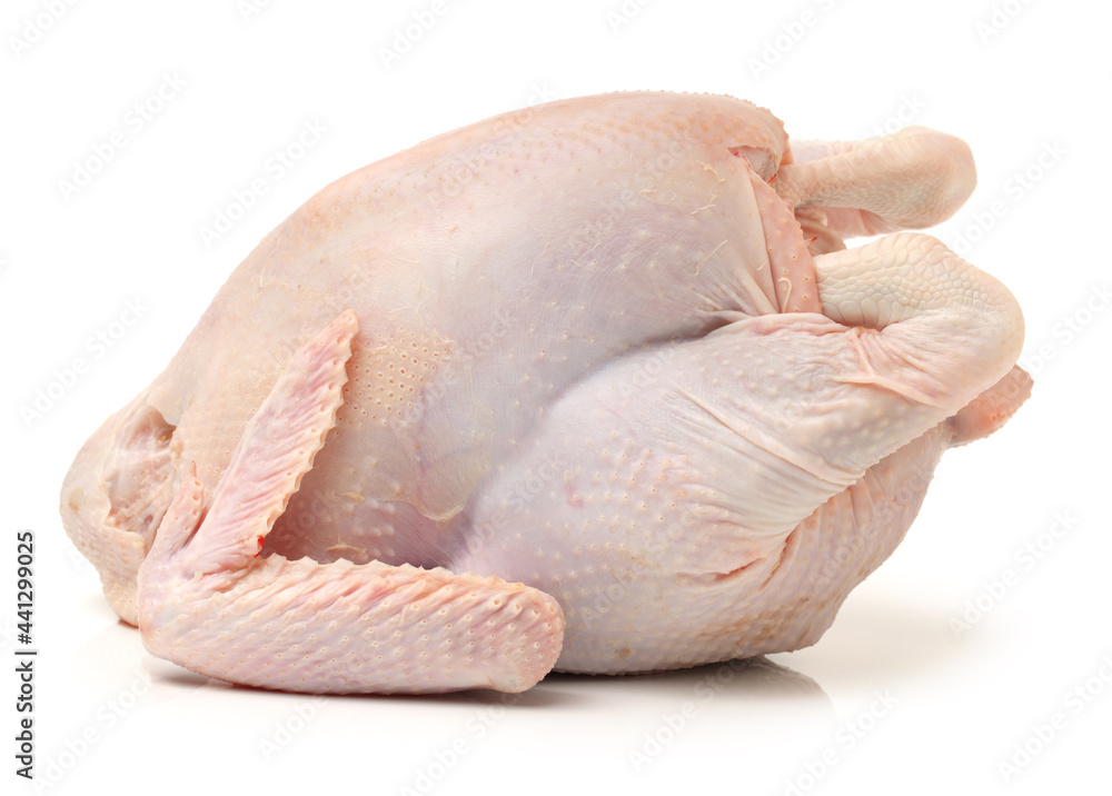 raw hen on a white background raw hen on a white background