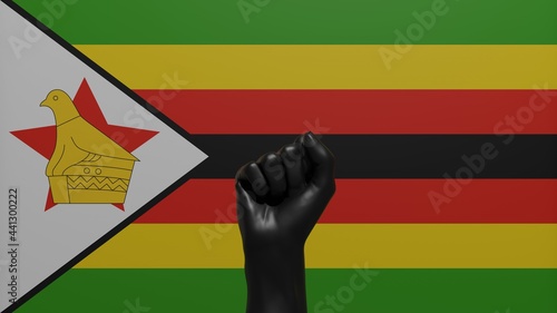 A single raised Black Fist in the center in front of the Country Flag of Zimbabwe