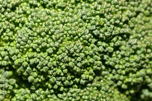 Broccoli cabbage background close up. Texture vegetable background. Healthy nutrition concept
