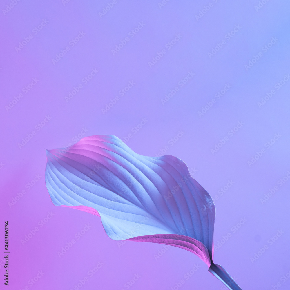 Plant leaf in the future with innovation and technology in neon illuminated light. The minimal concept of nature and the future. Plant leaf in the future with innovation and technology in neon illuminated light. The minimal concept of nature and the future.