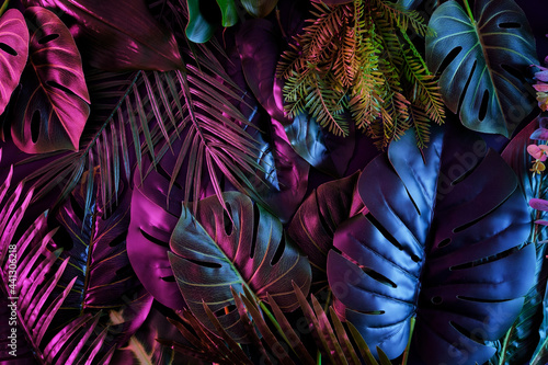 Fotomurale Tropical dark trend jungle in neon illuminated lighting