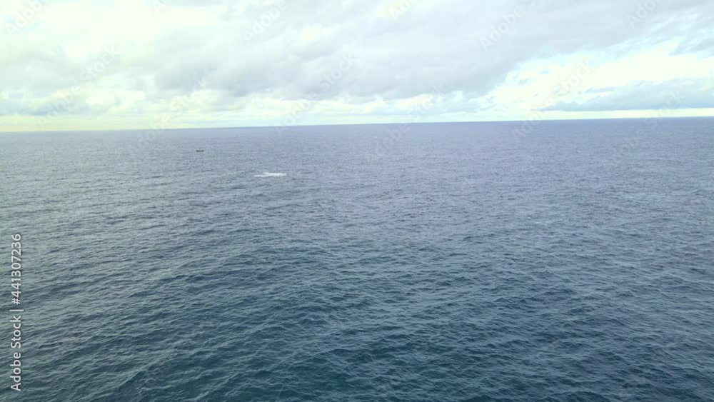Aerial View Of Calm Blue Sea With Humpback Whale Breaching In The Distance - Bondi Beach In NSW, Australia. - forward