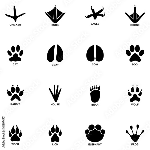 animal footprint icon set vector sign symbol
