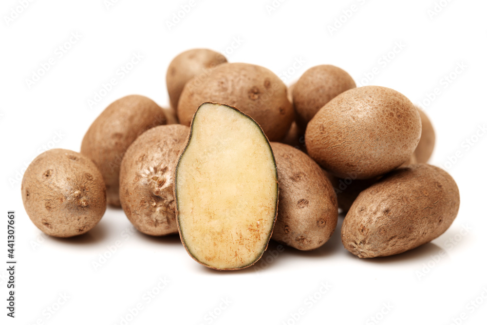 Dioscorea opposita on white background Dioscorea opposita on white background