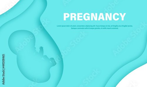 Banner, poster, illustration with silhouette of embryo, baby in the belly in cut paper style with text Pregnancy and place for your text.Blue.