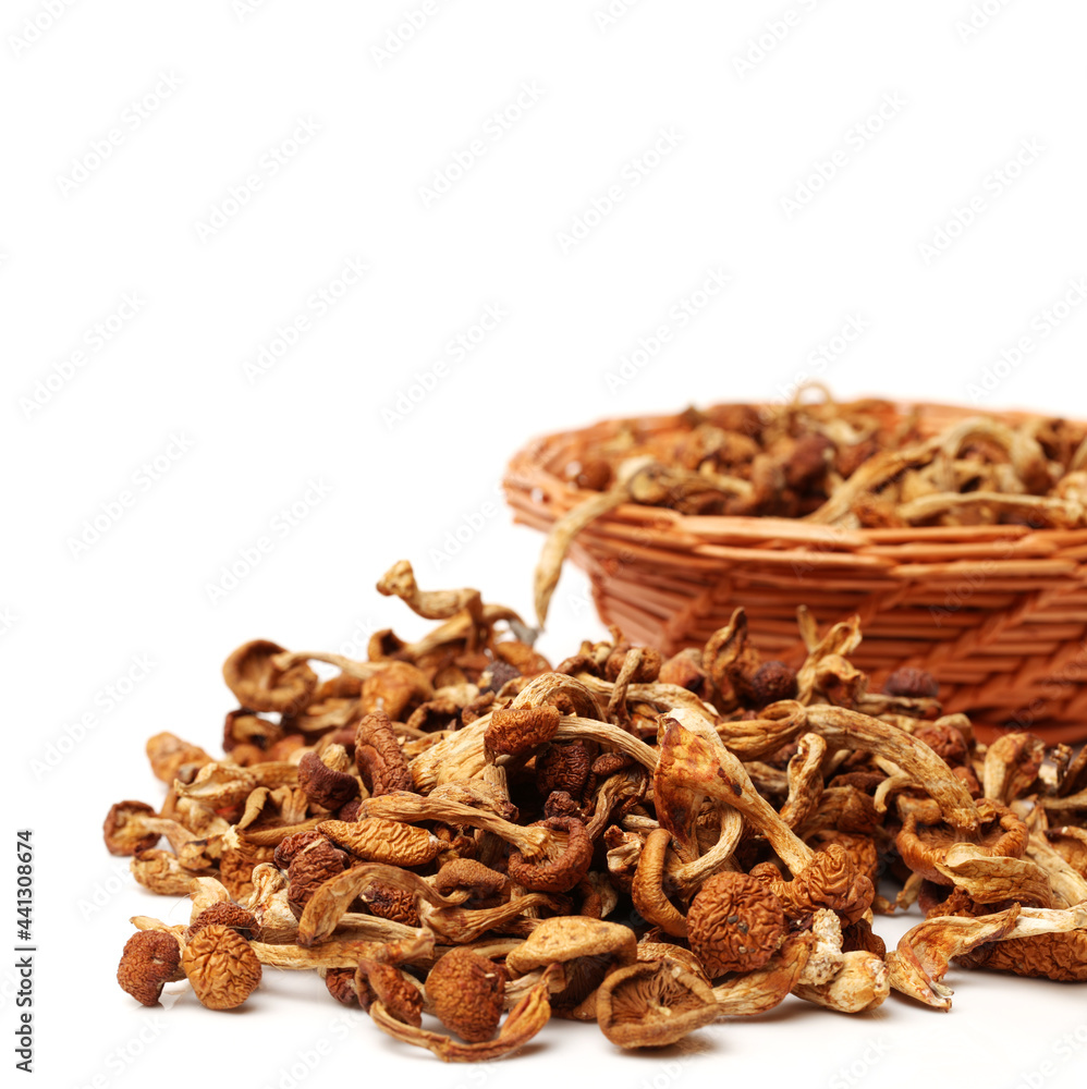 Fototapeta premium dried mushroom on white background