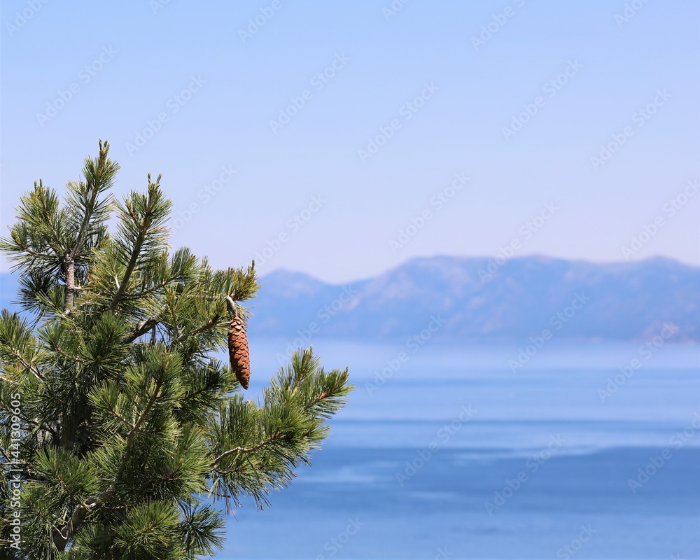 A View of Lake Tahoe From Above