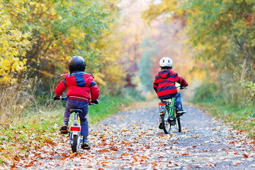 Two little kid boys in colorful warm clothes in autumn forest park driving bicycle. Active children cycling on sunny fall day in nature. Safety, sports, leisure with kids concept. Best friends having