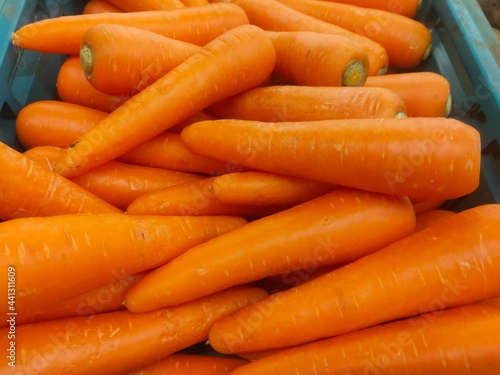 carrots on the market