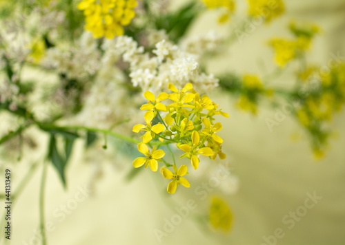 yellow background. yellow flowers. a bouquet of colorful flowers. summer.