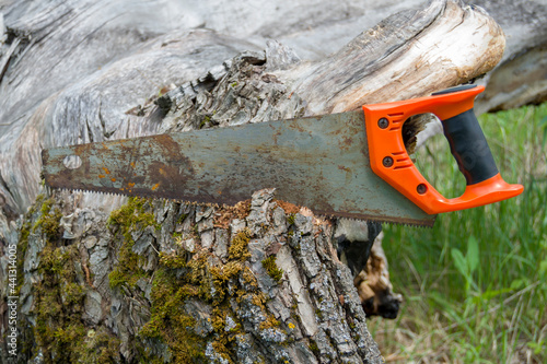 an old saw for a tree stuck in a log. carpentry tool in the process
